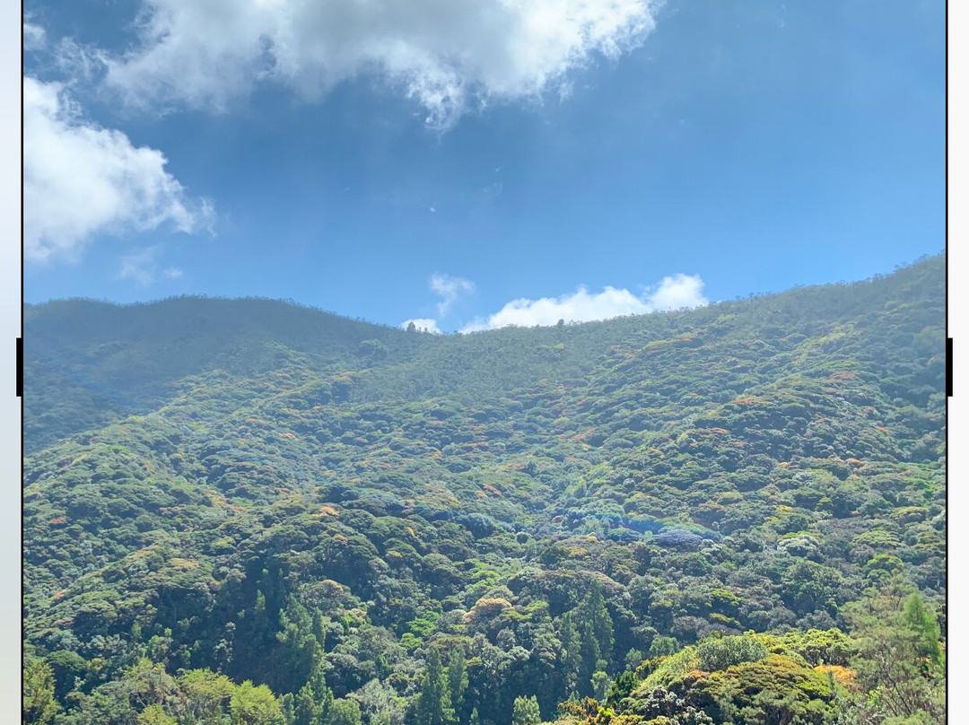 Avalanche Lake景点图片