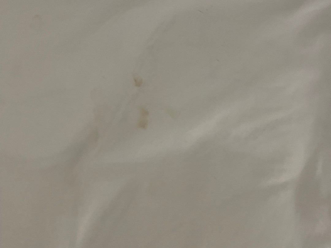 Country Inn & Suites by Radisson, Asheville West, NC主图