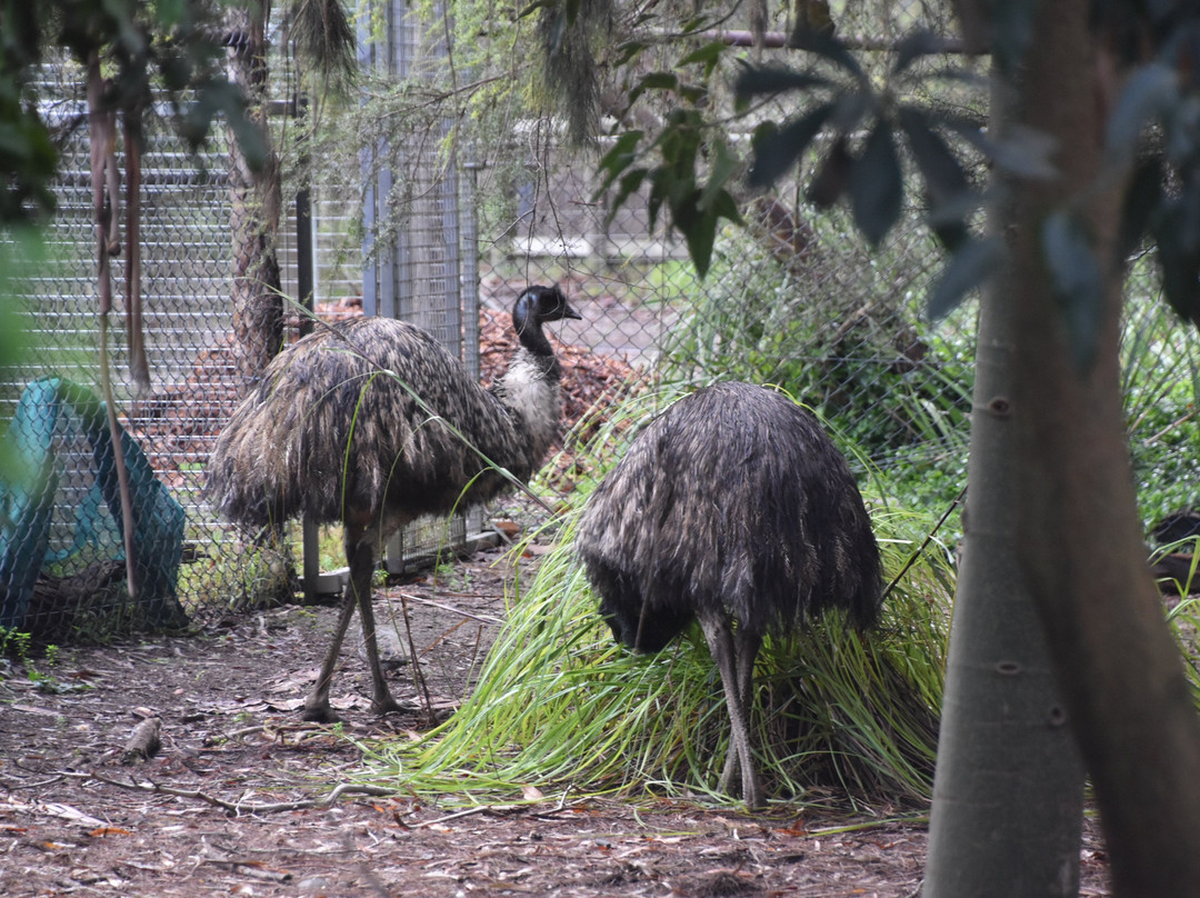 希尔斯维尔保护区-希尔斯维尔必去景点