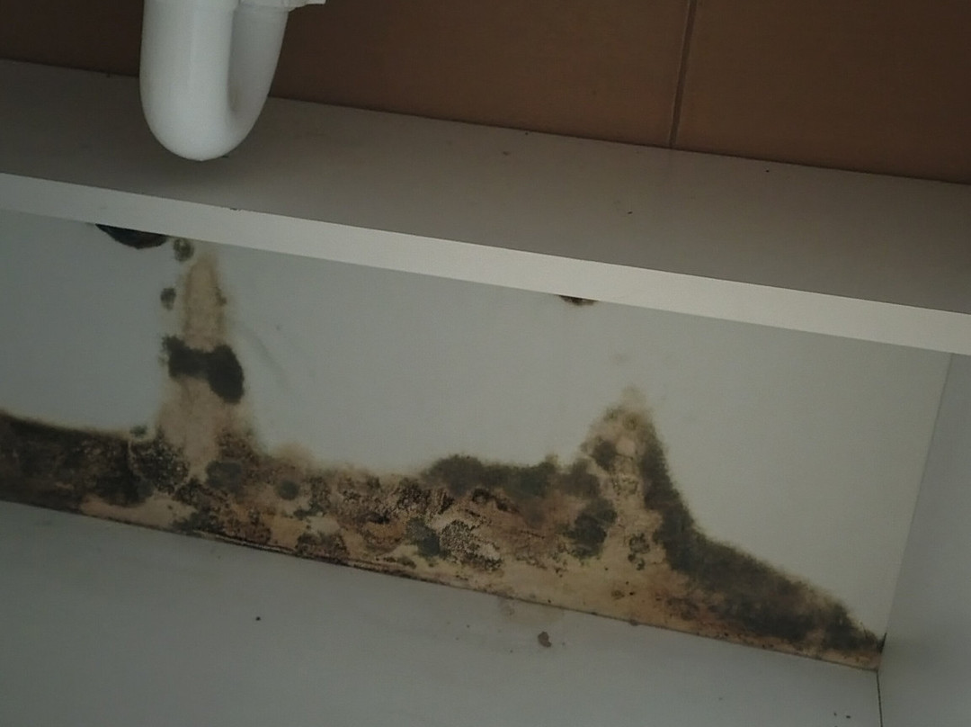 Hotel Versailles主图