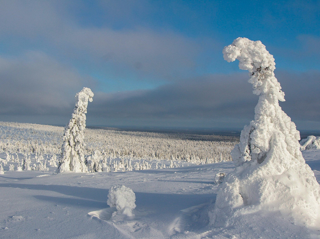 征服北极之旅-罗瓦涅米必去景点