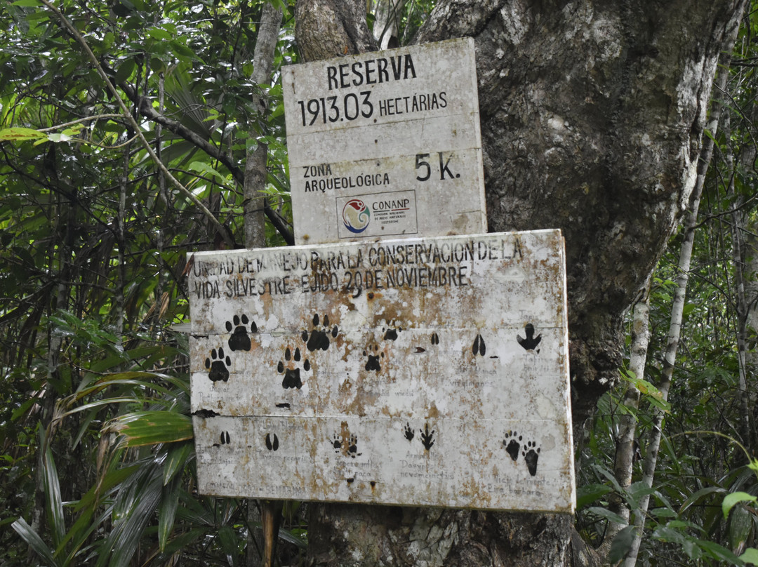 Zona Arqueologica Rio Bec-卡拉克穆尔必去景点