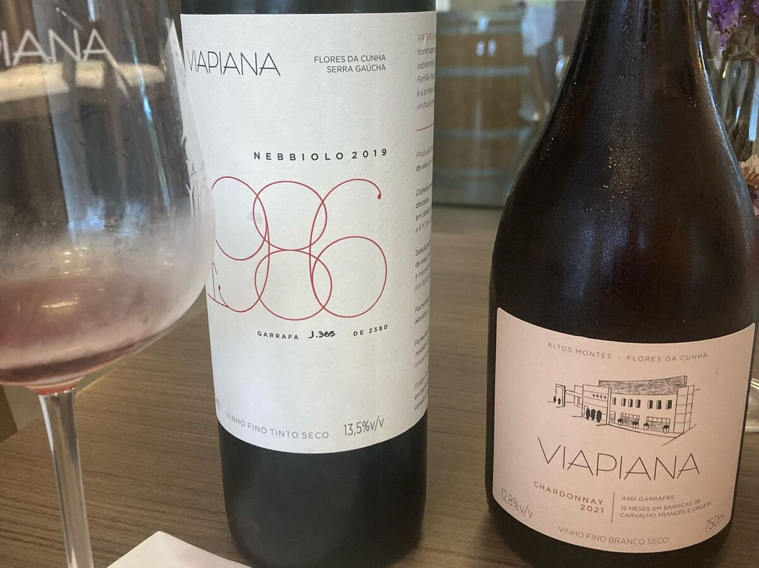 Viapiana Winery景点图片