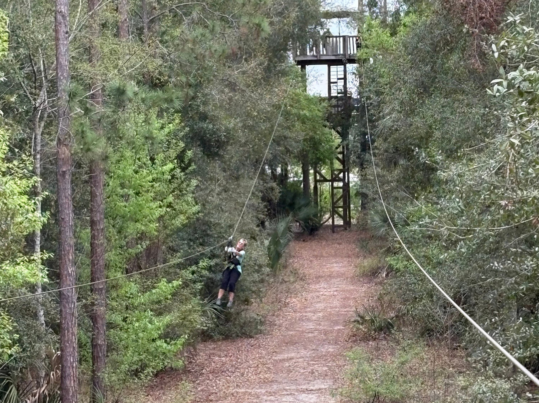 Orlando Tree Trek Adventure Park景点图片