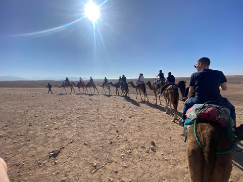 excursion_with_brahim-马拉喀什必去景点