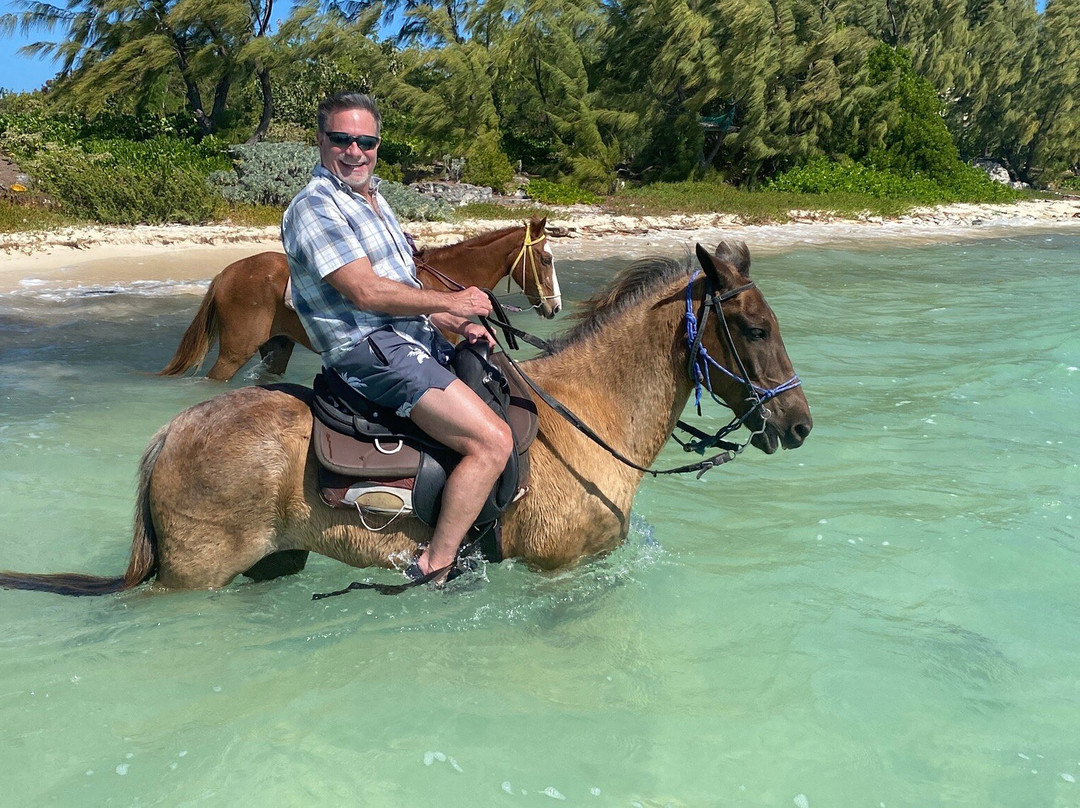 Heritage Tours & Horseback Riding-普罗维登西亚莱斯必去景点