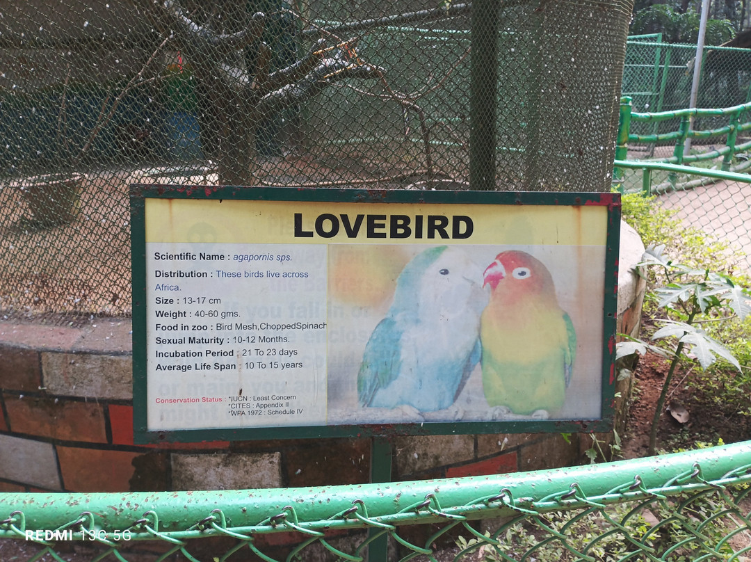 Birsa Zoological Park景点图片