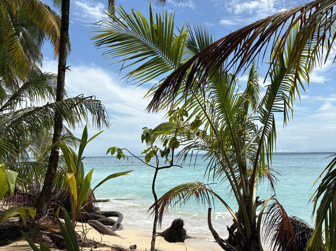 Bocas Water Excursions景点图片