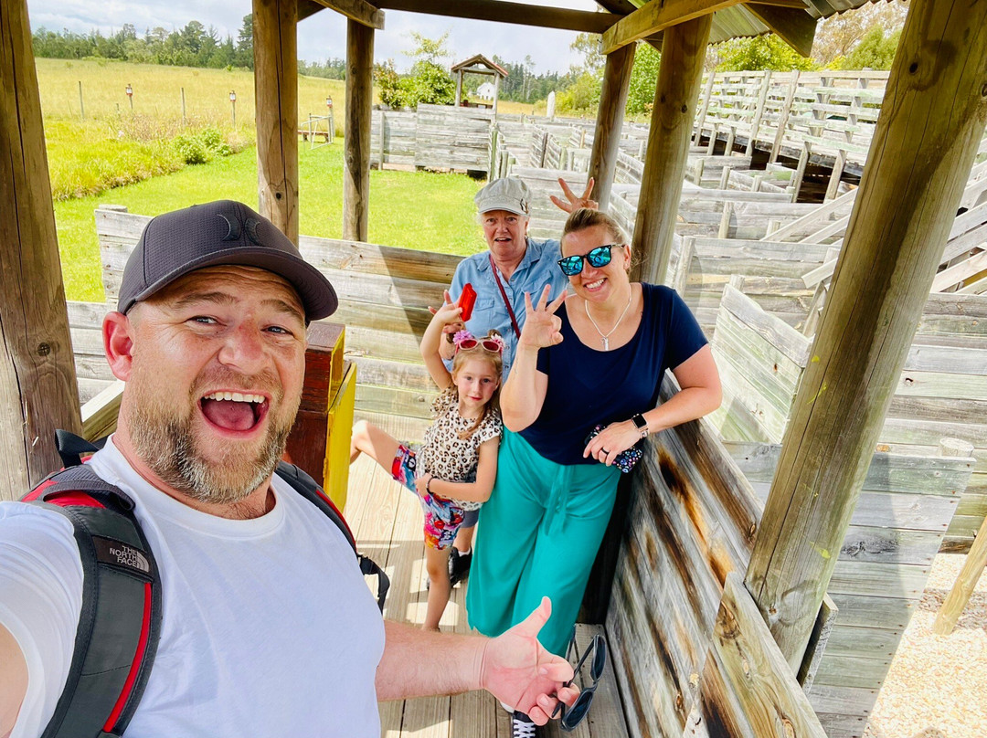 Puzzle Park SA-普利登堡湾必去景点