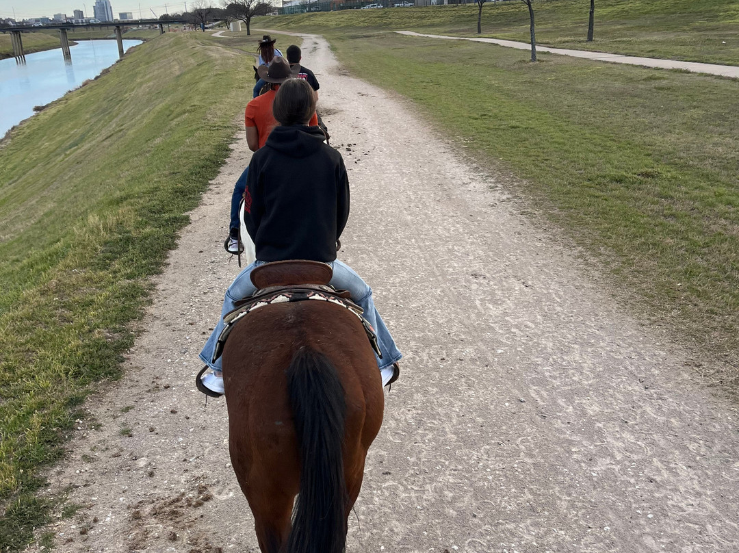 Fort Worth Stockyard Stables-沃思堡必去景点