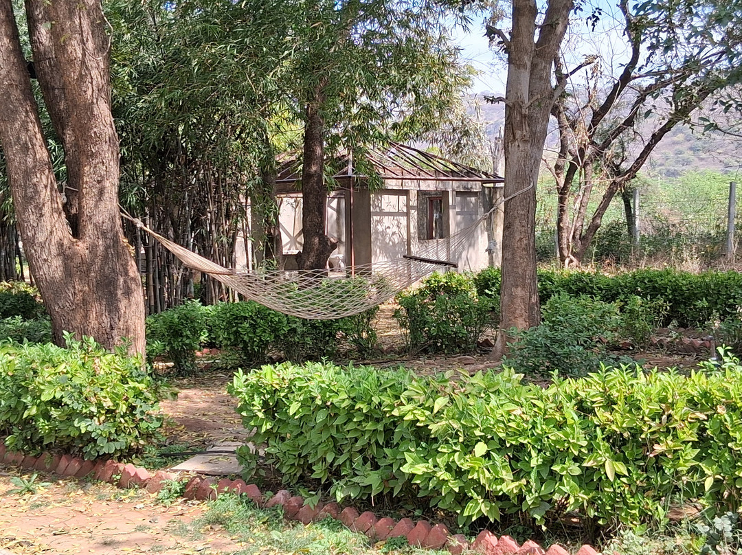 Tiger Moon Resort主图