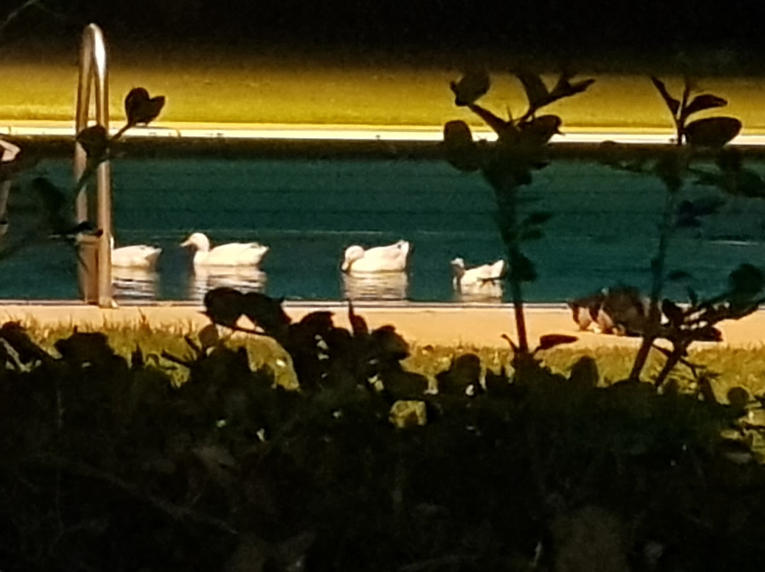 Kupferquelle Resort主图