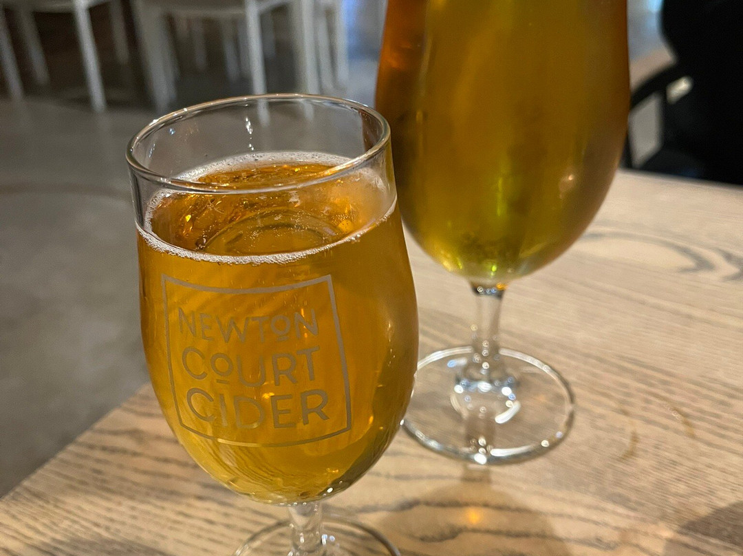 Newton Court Cider景点图片