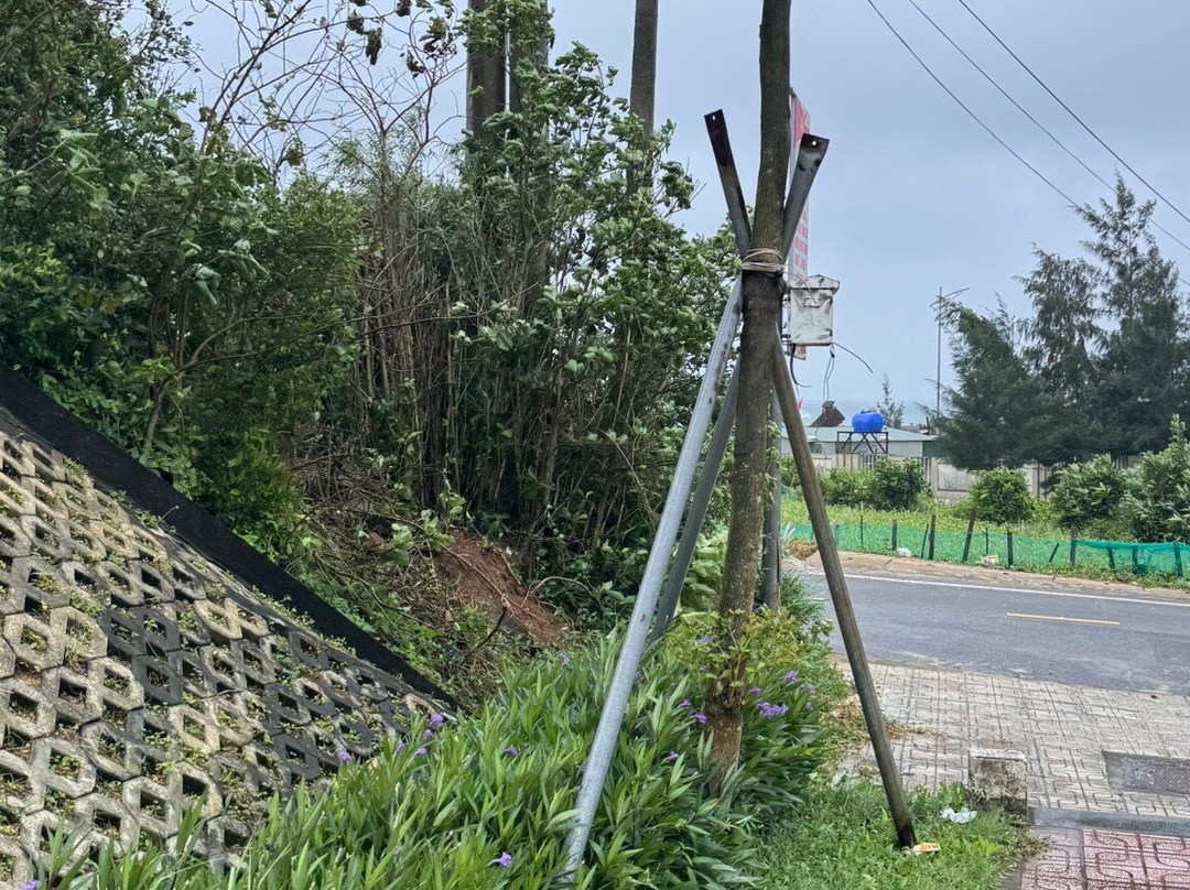 Muong Thanh Holiday Ly Son主图