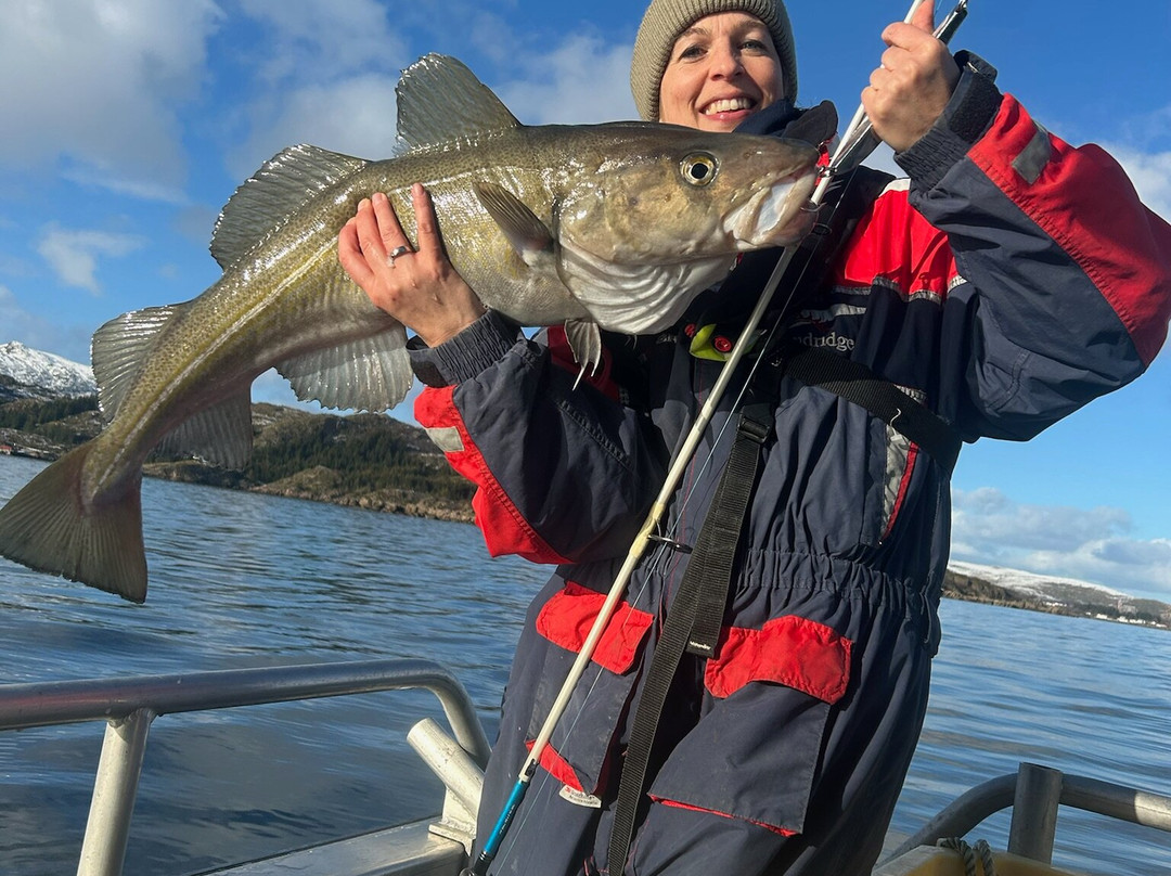 Arctic Spearfishing & guided fishing景点图片