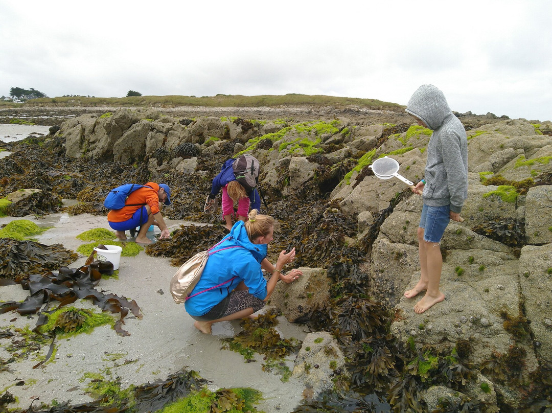 Maison Des Abers - Ti An Aberioù-Saint-Pabu必去景点