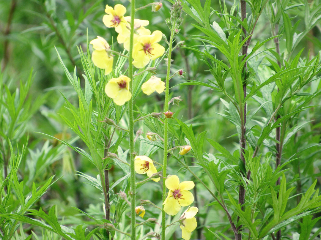 Baldpate Mountain-Titusville必去景点