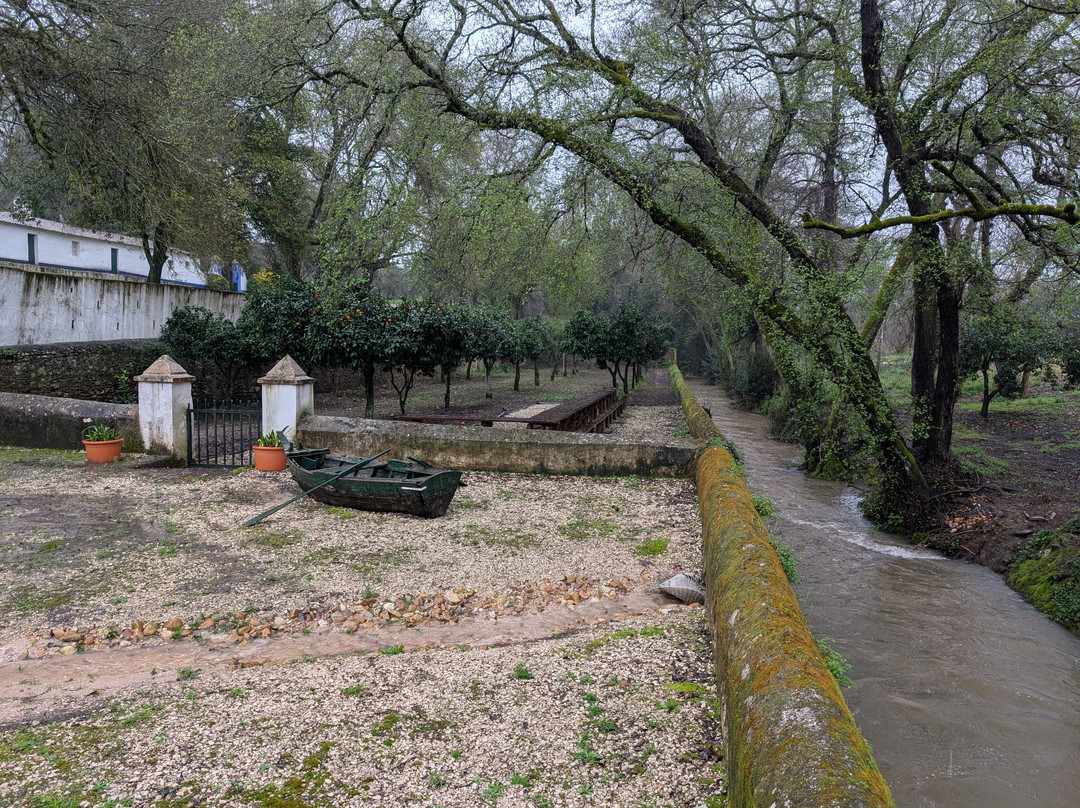 Azeite Casa Anadia - Olive Oil & Tours景点图片