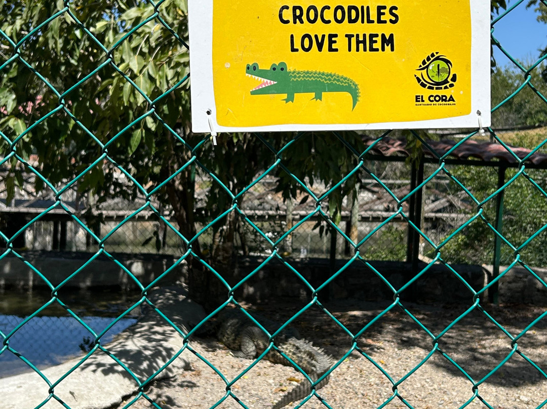 Santuario de Cocodrilos El Cora景点图片