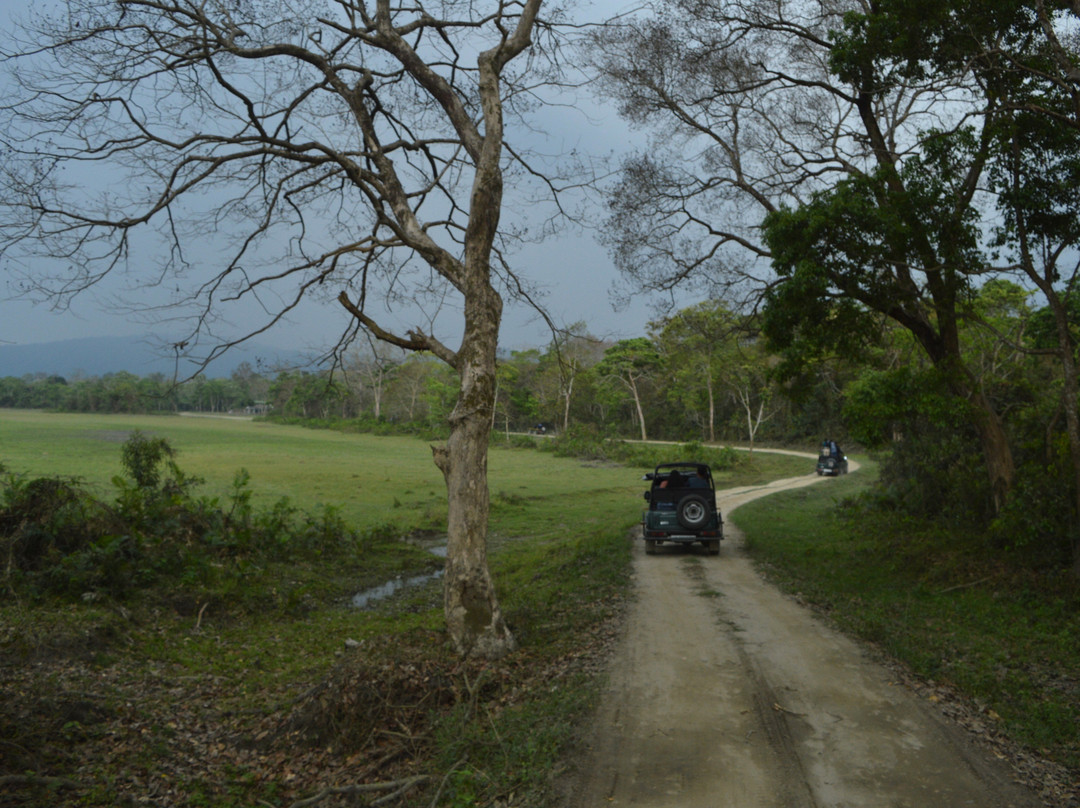 Kaziranga National Park-卡齐兰加国家公园必去景点
