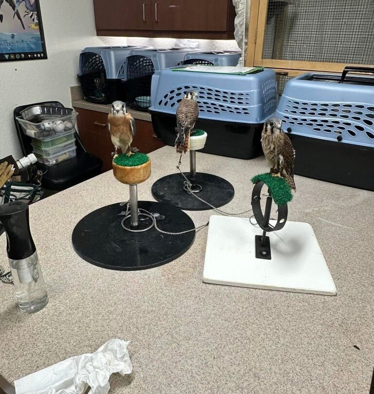 Moccasin Lake Nature Park-克利尔沃特必去景点