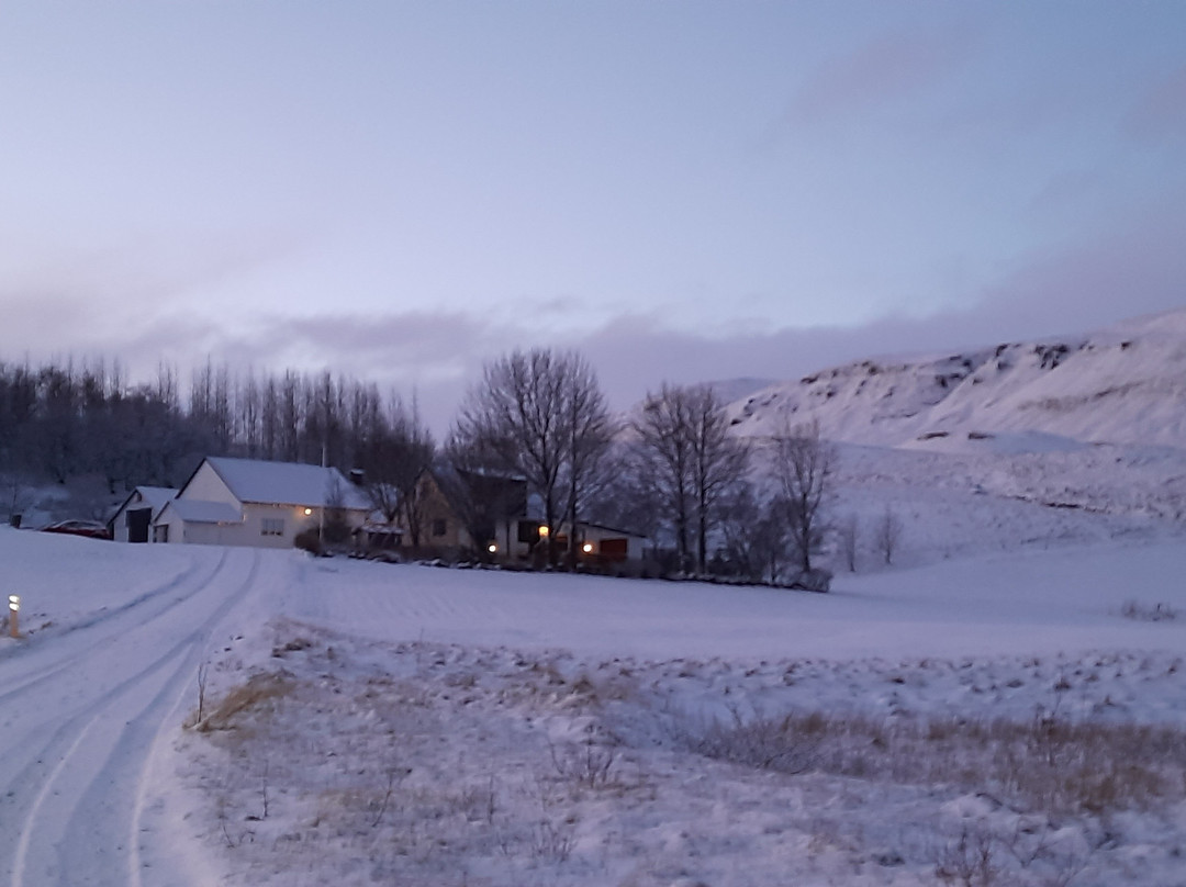 Dalshofdi Guesthouse主图