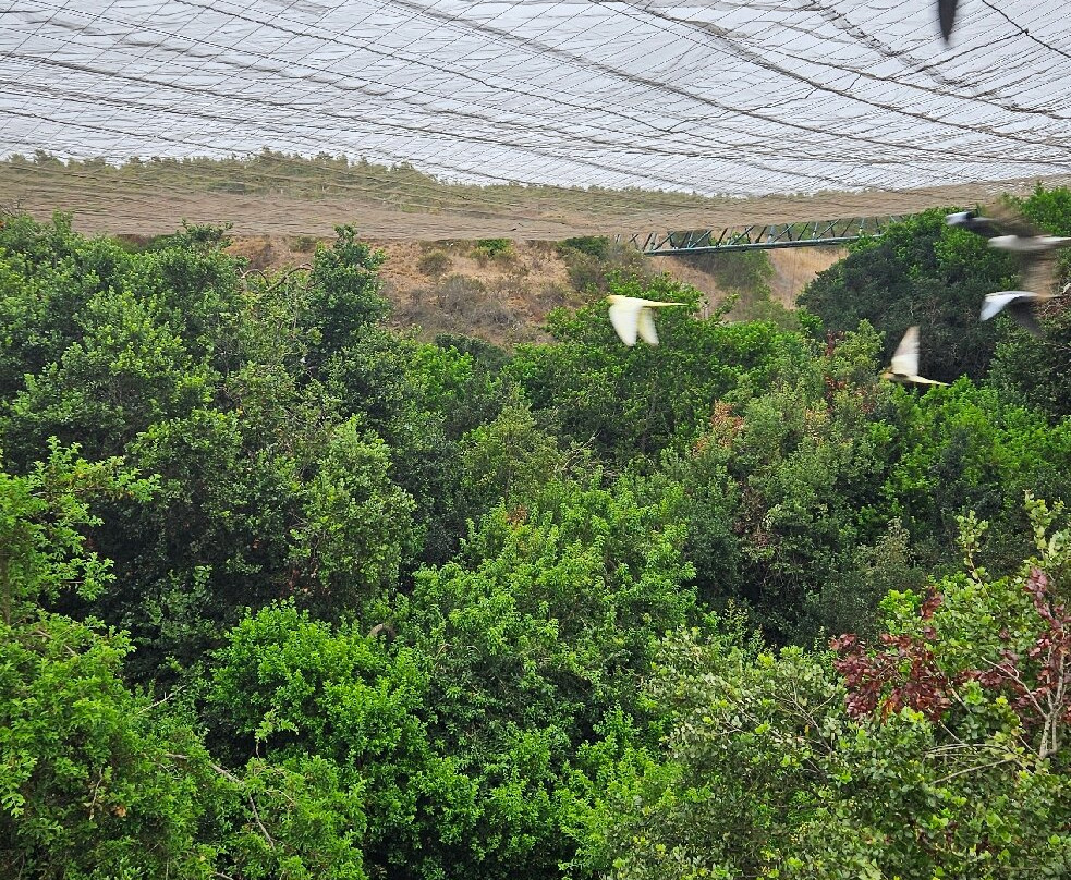 Parque Tricao-Santo Domingo必去景点