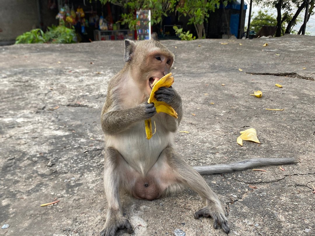 Battambang Amazing Tour By Huot-马德望必去景点
