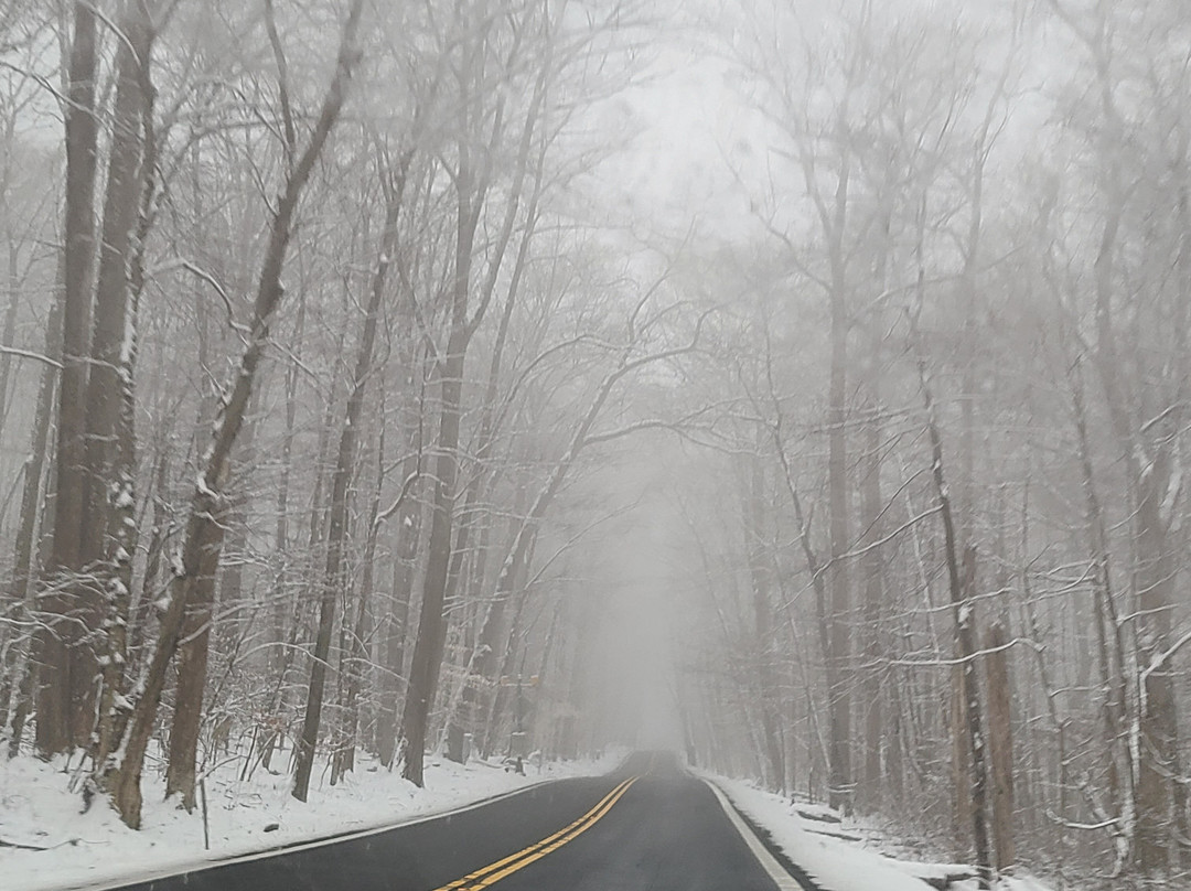 Suburban Studios LaVale - Cumberland主图