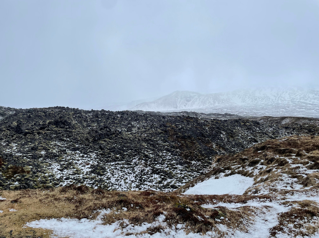 Djupalonssandur Beach-Hellnar必去景点
