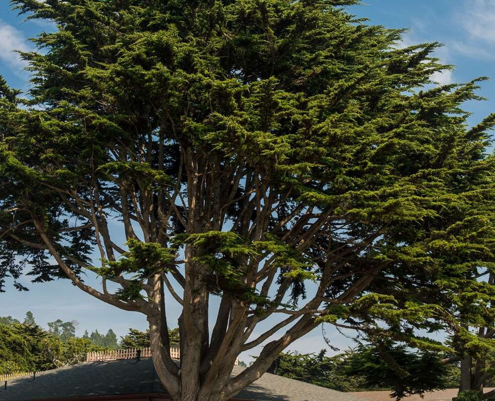 坎布里亚酒店住宿-海獭酒店
