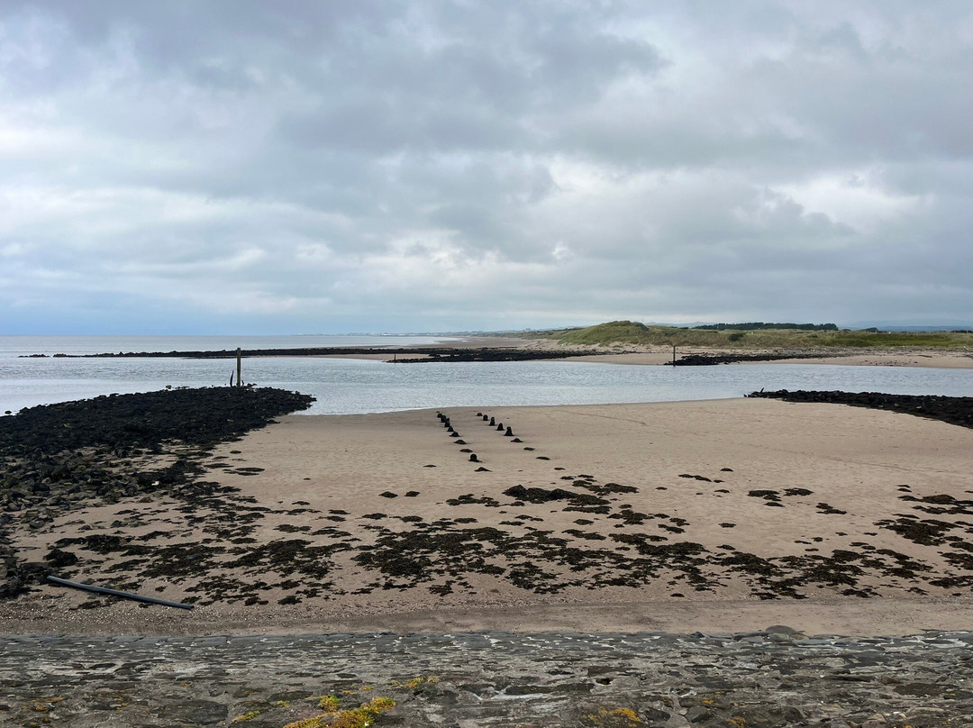 Irvine Beach-Irvine必去景点
