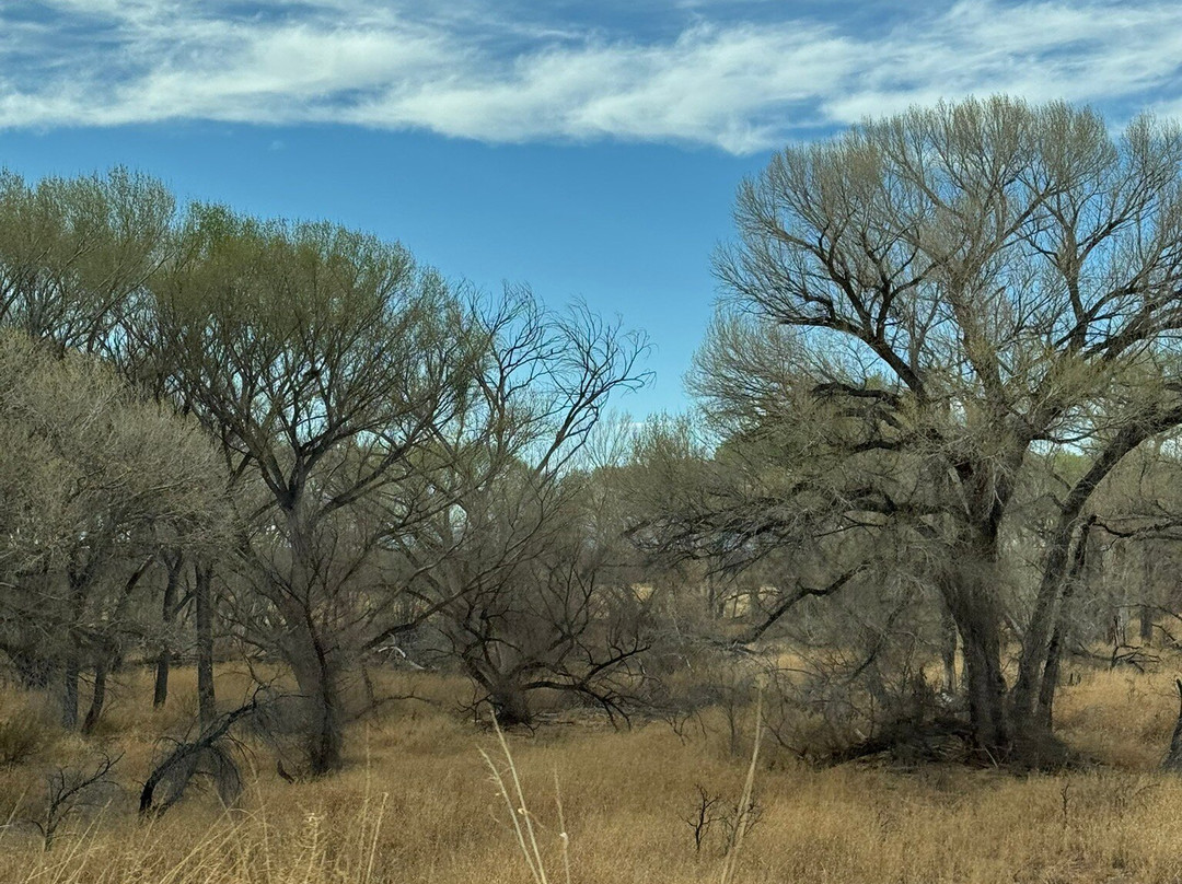 San Pedro Riparian National Conservation Area-谢拉维斯塔必去景点