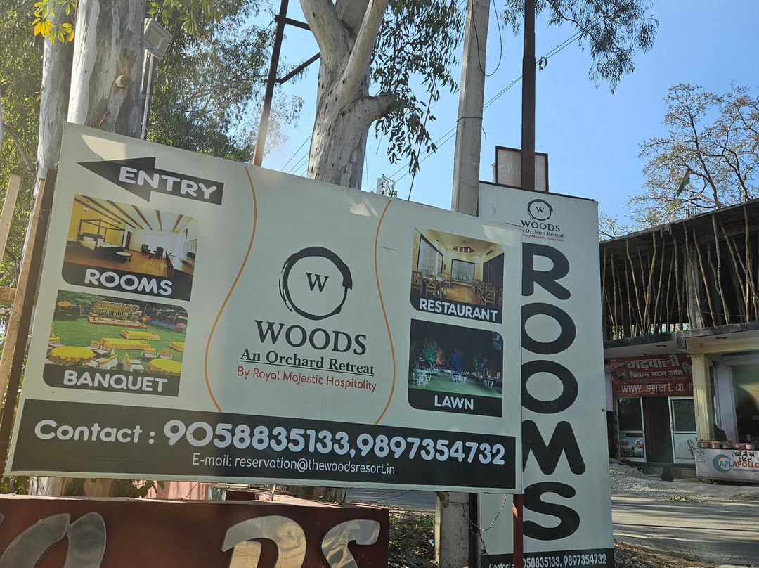 The Woods : An Orchard Retreat主图