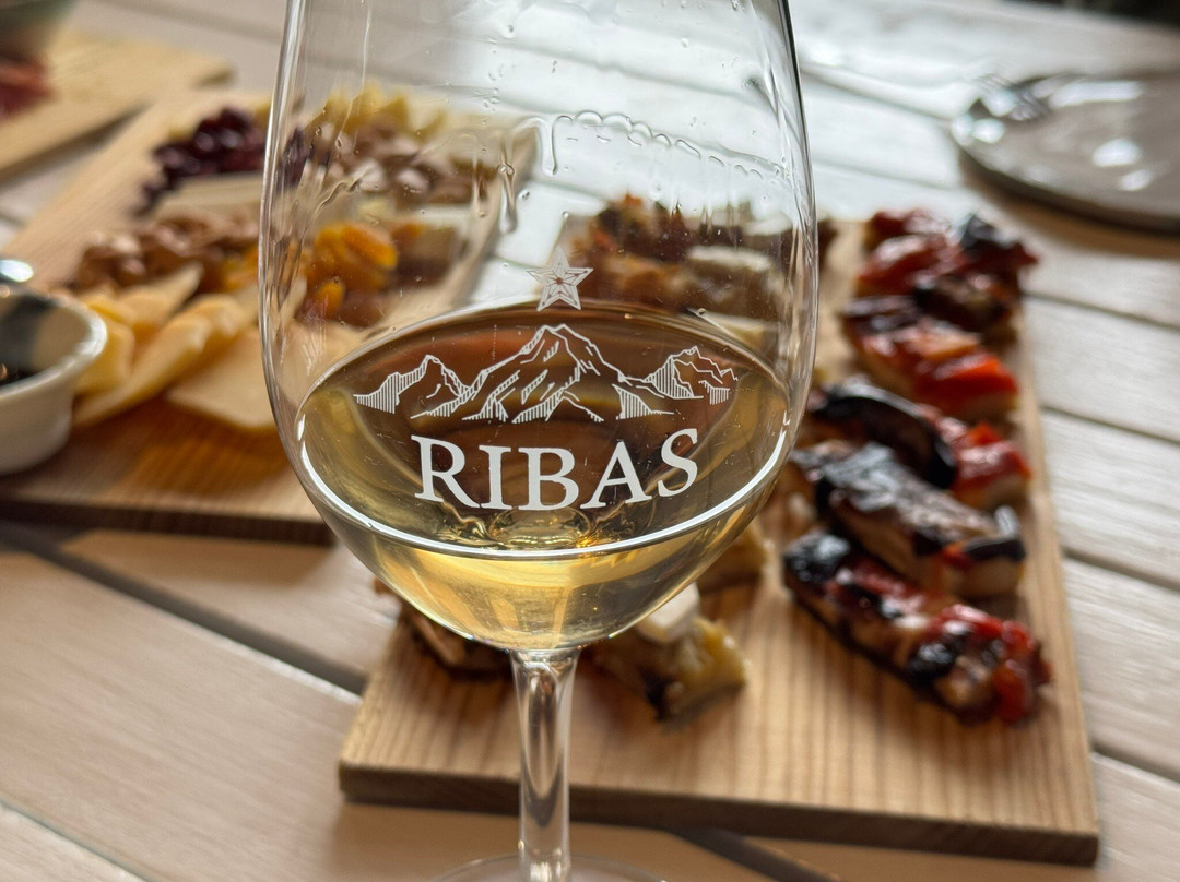 Bodega Ribas-Consell必去景点
