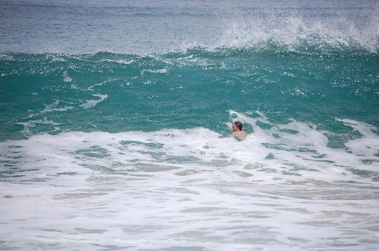 琪琪的天堂主图