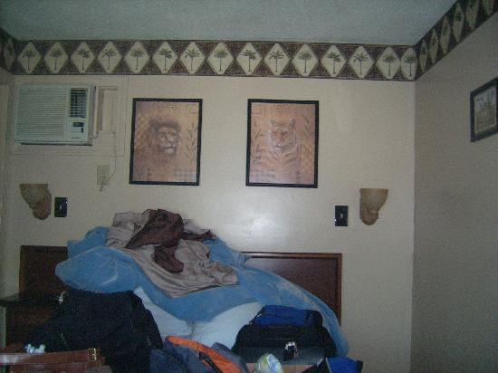 Hilton Dunes Motel主图