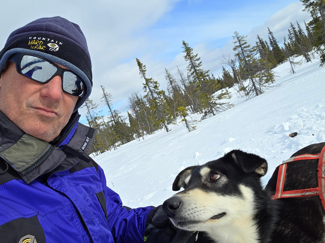 Petter Karlsson Sleddogs景点图片