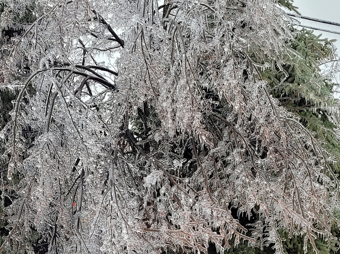 Fairfield Inn & Suites Gaylord主图