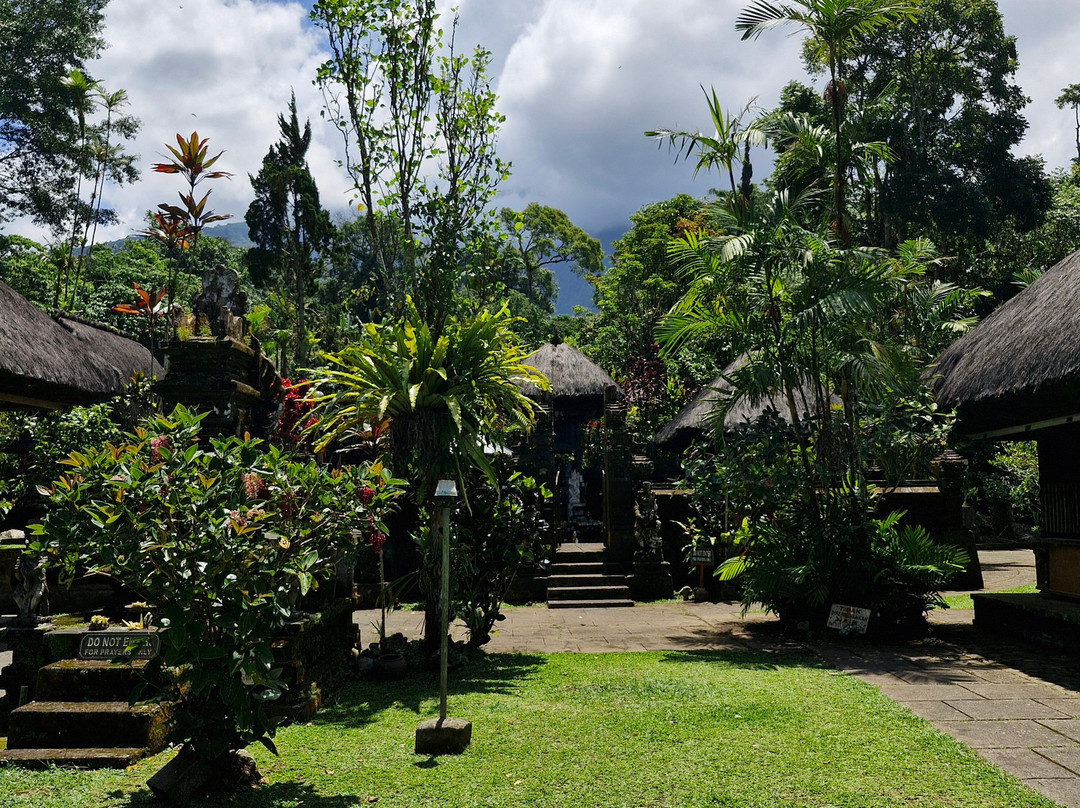 Bali Reiseleiter Fahrer景点图片