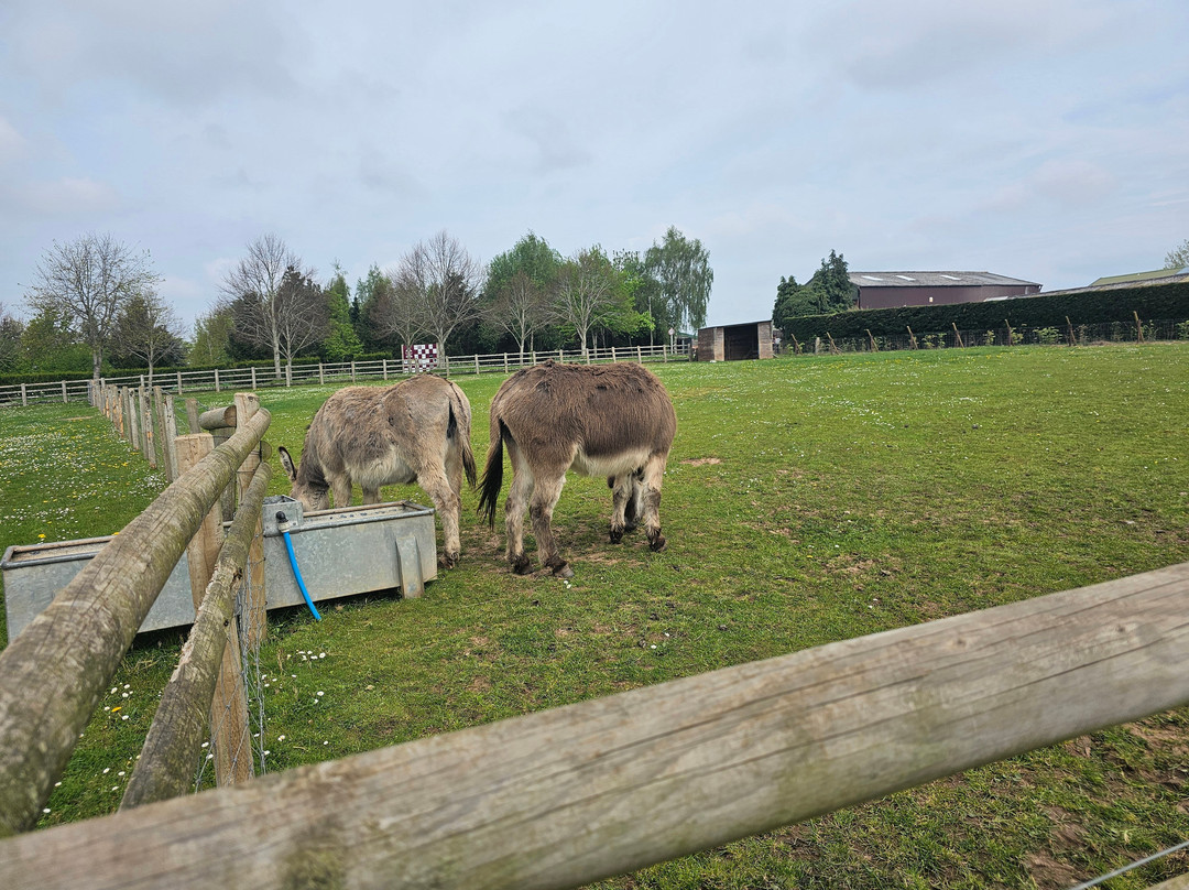 Top Barn Farm Shop & Farm Park-伍斯特必去景点