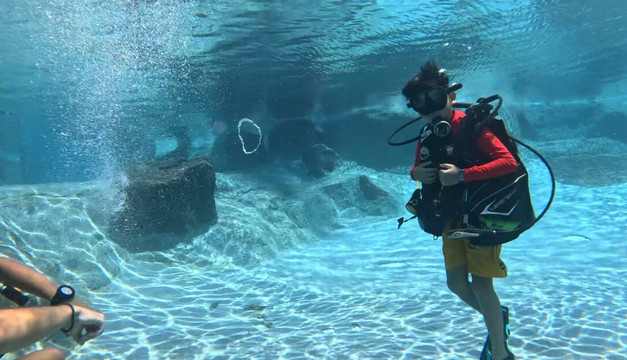 Dive Kauai Scuba Center-可洛亚必去景点