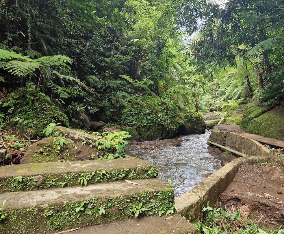 Goa Raja Waterall-Tembuku必去景点