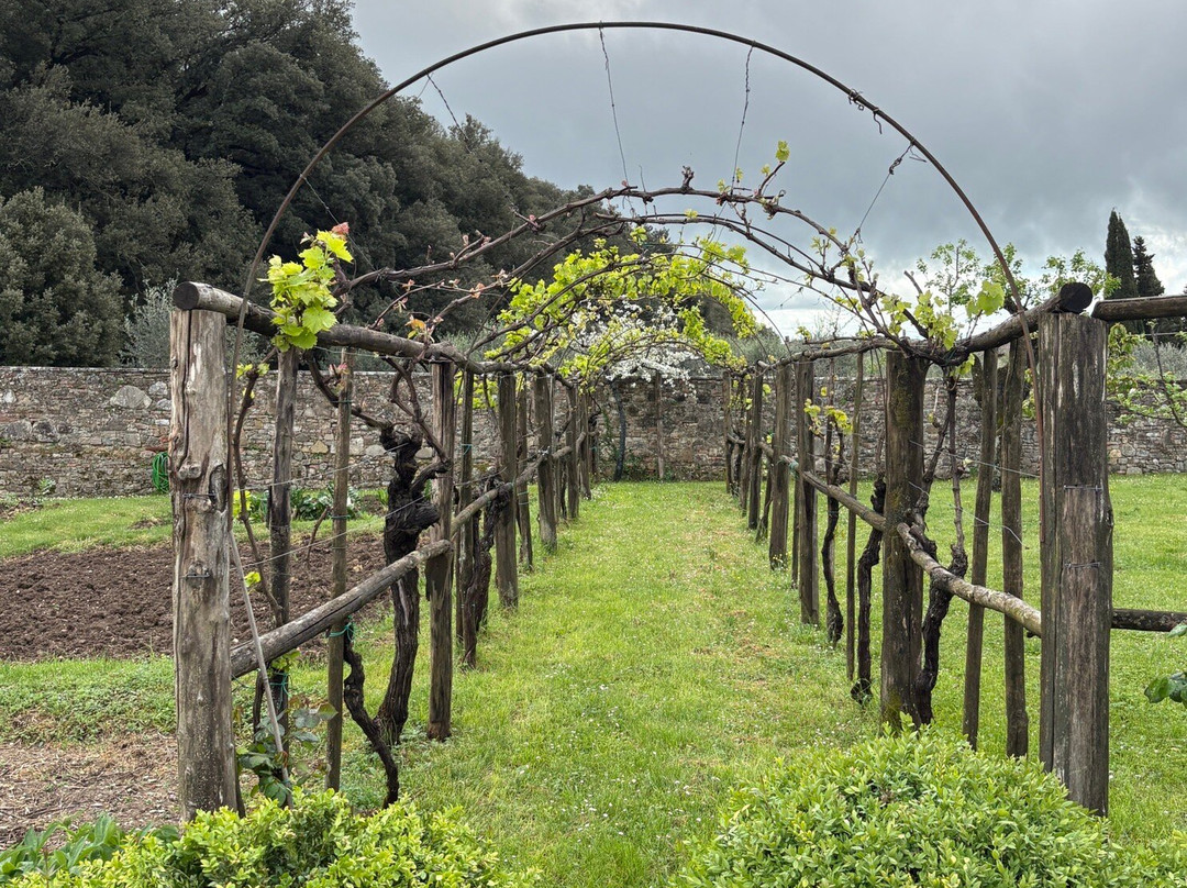 Villa di Geggiano-卡斯德尔诺沃贝拉登卡必去景点