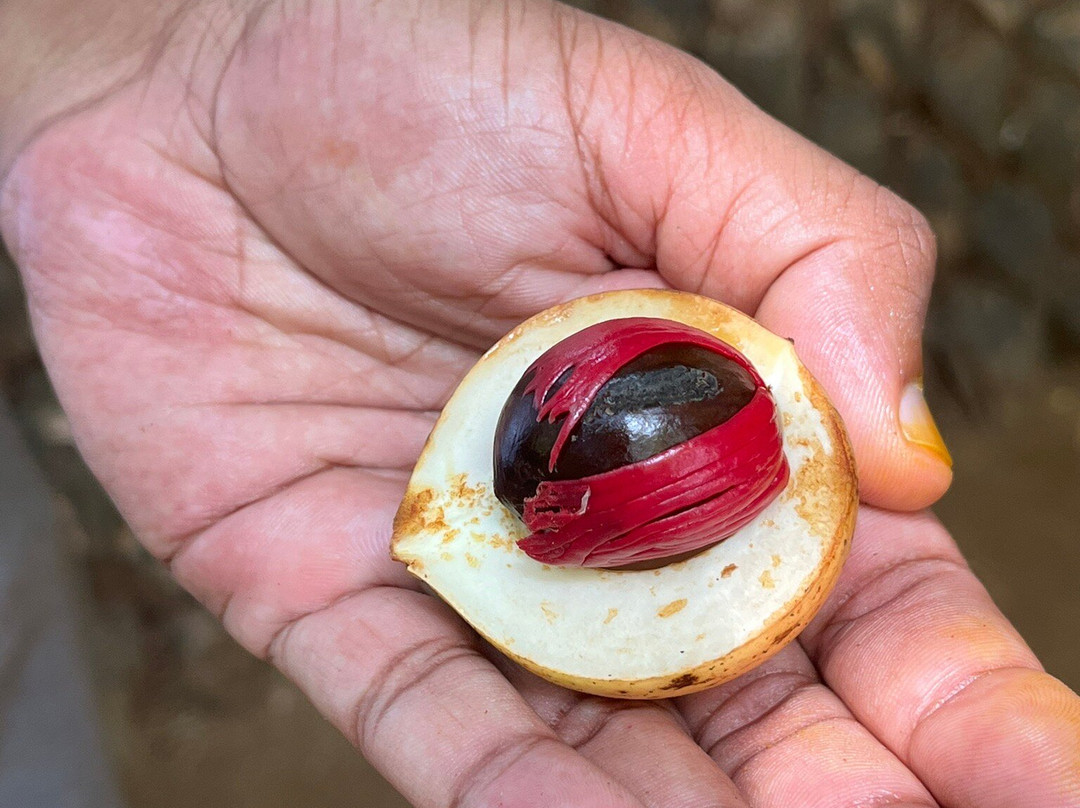 Kris Travels Lanka-康提必去景点