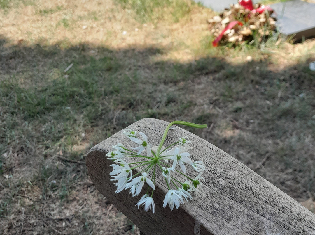 Arnos Vale Cemetery-布里斯托尔必去景点