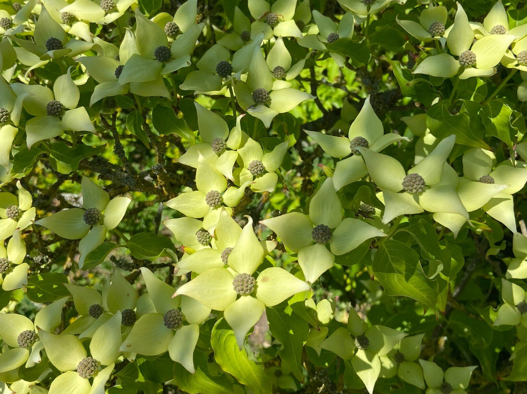 West Acre Gardens-West Acre必去景点