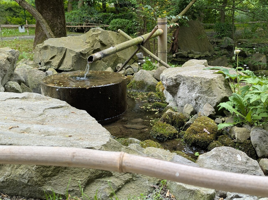 Japanese Garden-圣安德烈必去景点