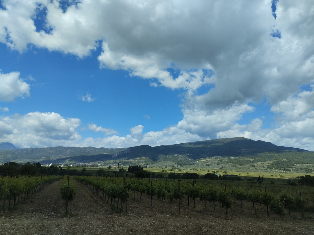 Estate Constantin Gofas-Nemea必去景点