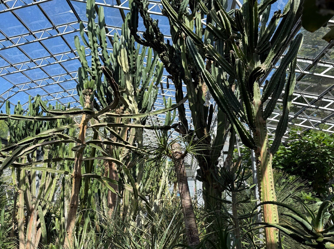 Duthie Park Winter Gardens-阿伯丁必去景点